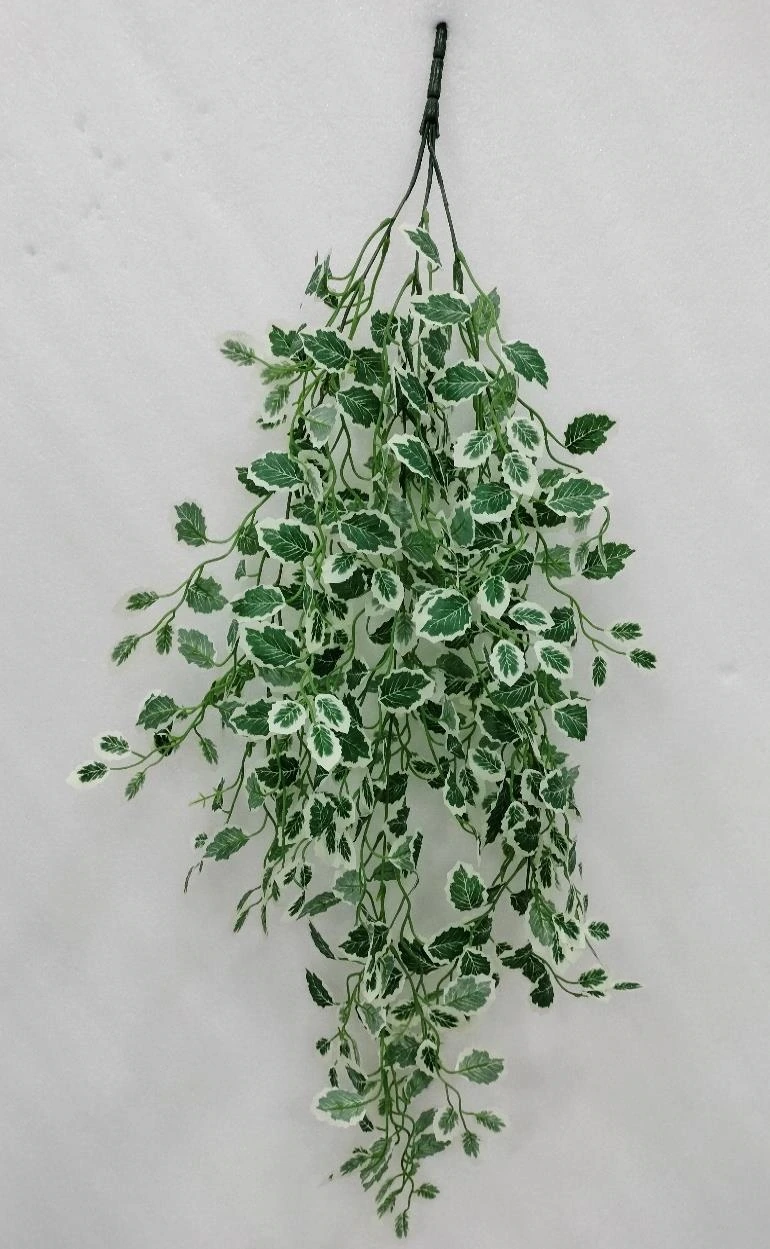 Ficus Christmas Leaf 1x6 Hanging Bunch 100cm
